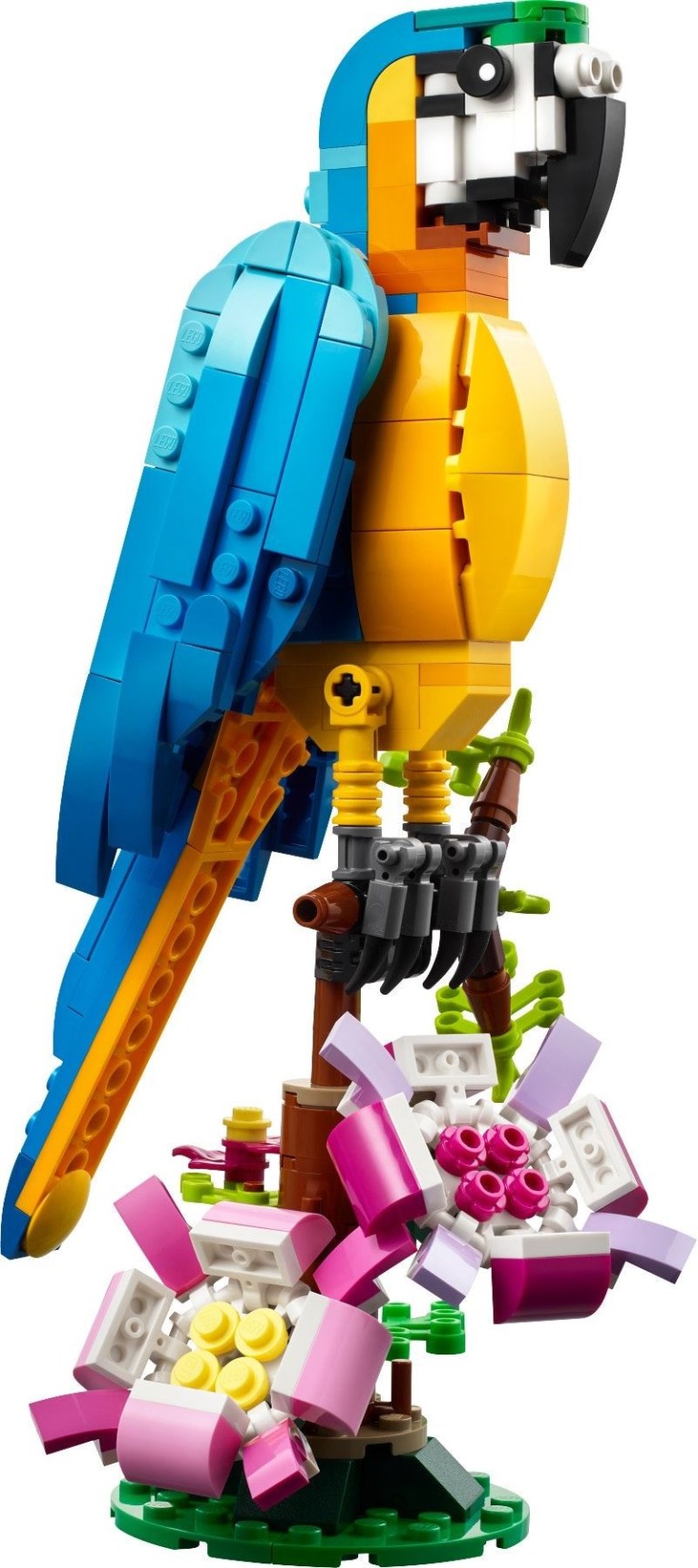 31136 1