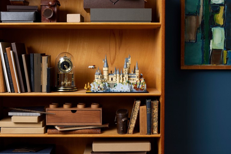 lego hogwarts castle and grounds 76419