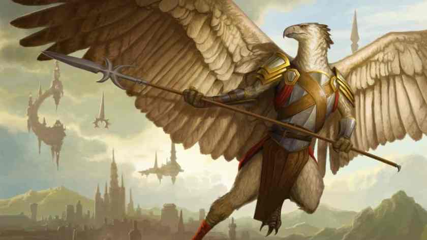 DnD Aarakocra Guide spear warrior