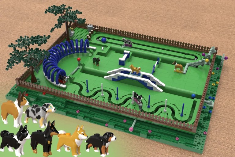DOGS FUN PARK