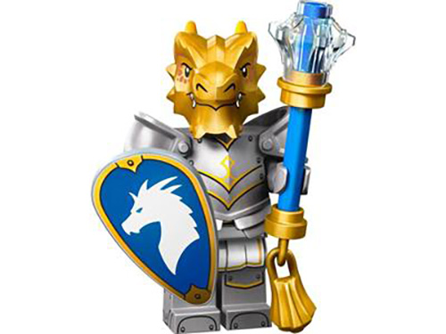 Dragonborn Paladin