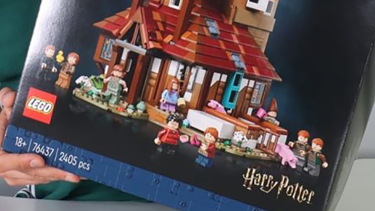2024 LEGO Harry Potter The Burrow Collectors’ Edition: First Look!