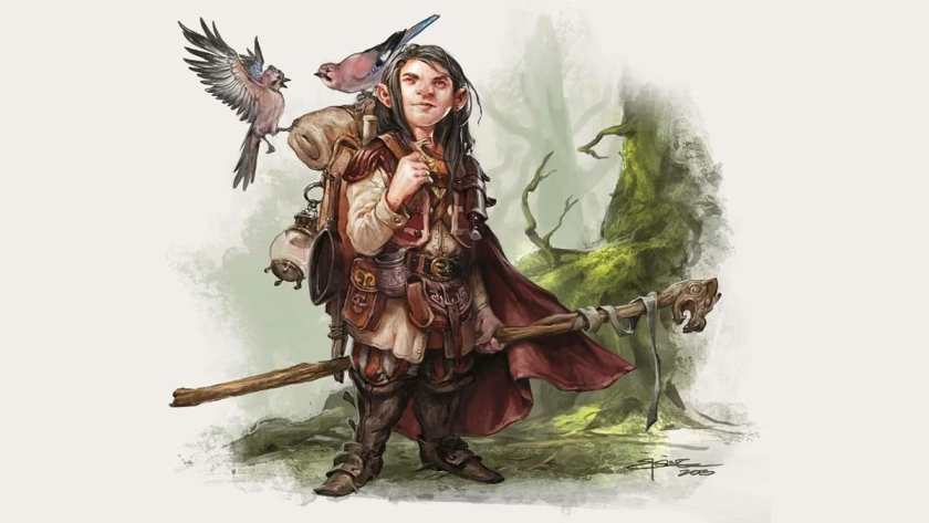 Halfling Druid Dungeons Dragons 5e