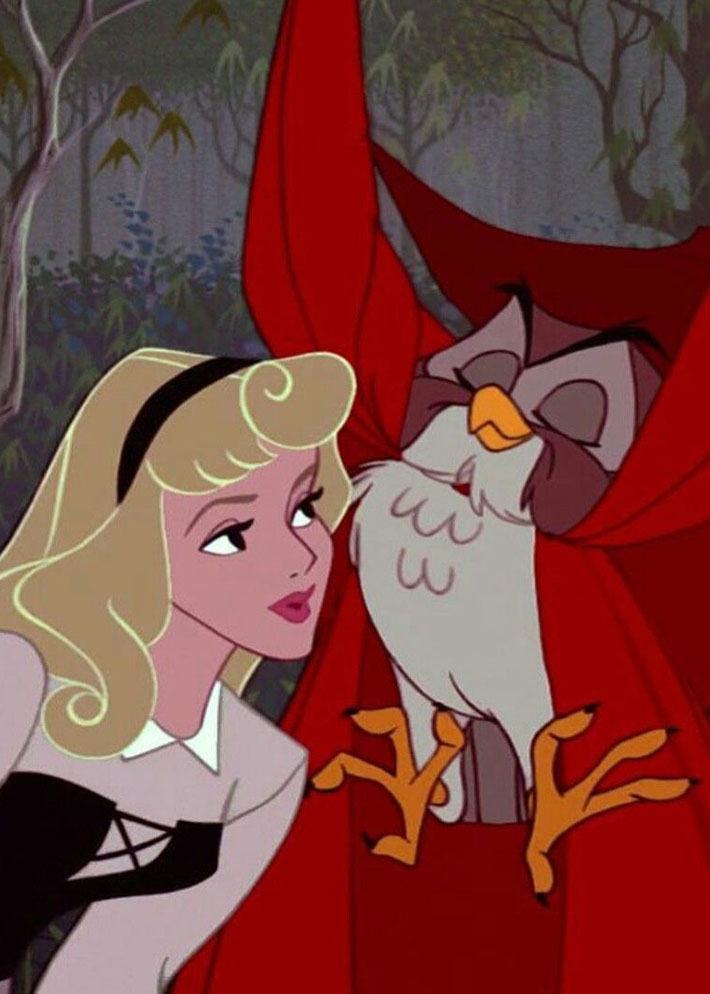 princess aurora with owl